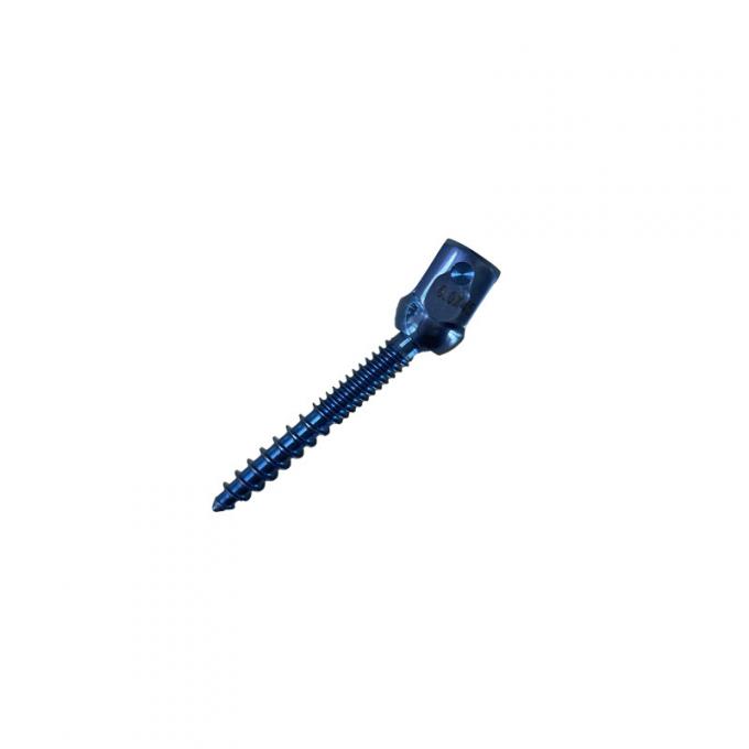Internal Fixation Spinal Screws Implants U-Multi-Axial Break Off Customize 2