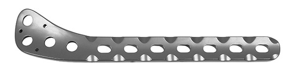Plate and Screw Tibial Platform Medial Plates I (L/R) Lower limbs Titanium Implant 1