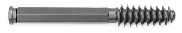 Plate and Screw Lag Screw Titanium Implant use with Proximal Femur Plates 0